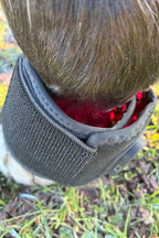 Detailansicht der LED-Hufglocken mit 240 Licht-Chips zur Unterstützung des Hornwachstums und zur Entzündungshemmung durch Photobiomodulation.