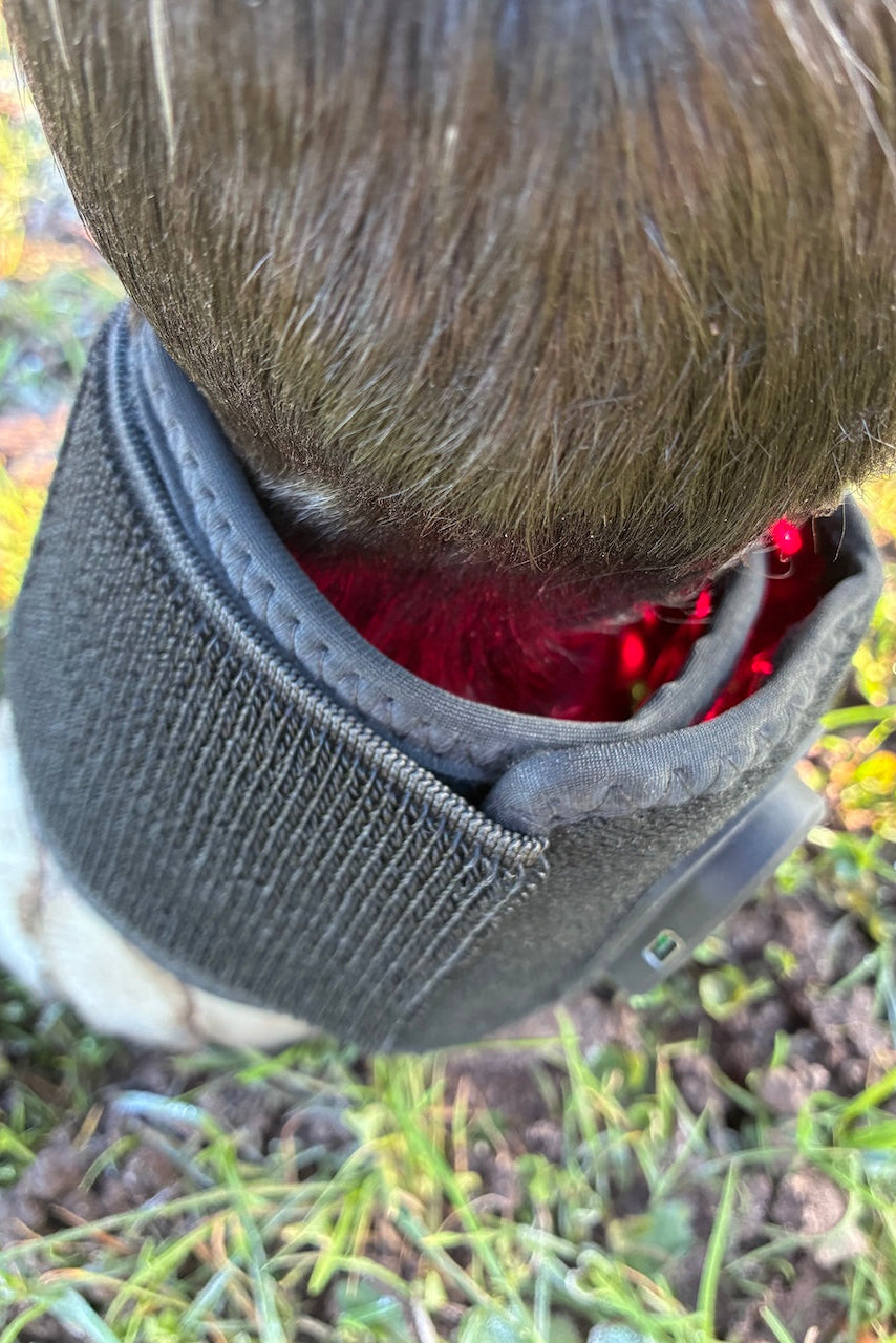 Detailansicht der LED-Hufglocken mit 240 Licht-Chips zur Unterstützung des Hornwachstums und zur Entzündungshemmung durch Photobiomodulation.