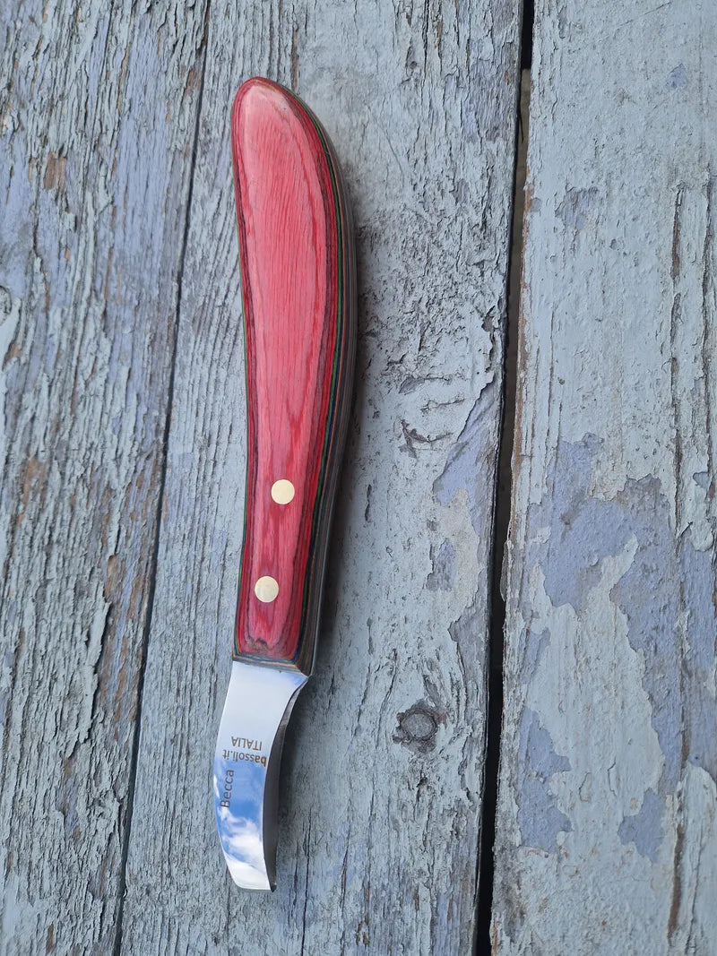 Nahaufnahme der ovalen Schlingenklinge des Gobarhuf Hufmessers aus scharfem, langlebigem Edelstahl.