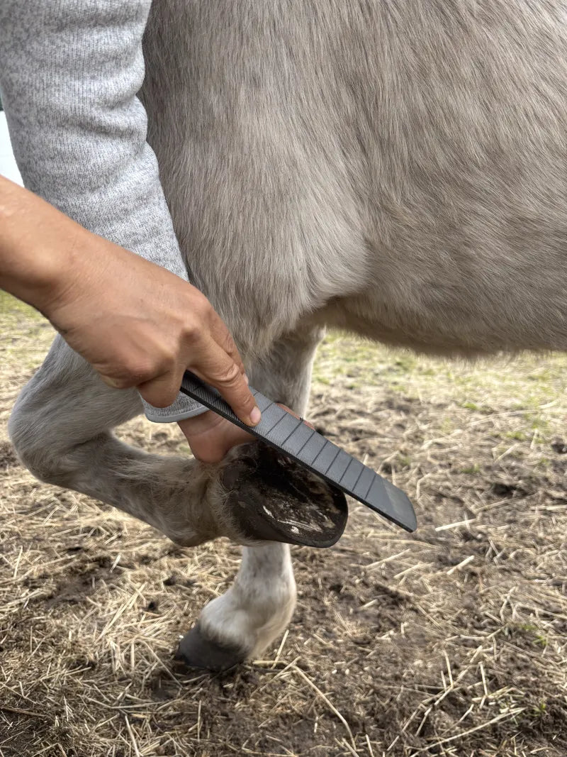 Effizientes Planen des Tragrandes am Pferdehuf mit der groben Seite der Gobarhuf Profi Raspel Blade 14 Zoll.