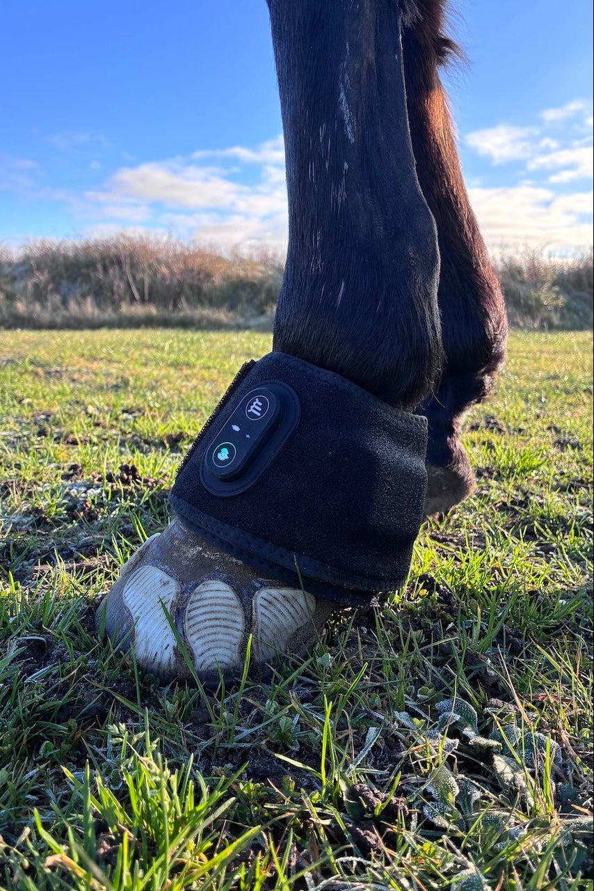 GoBarhuf Rotlicht-Hufglocken mit dualer LED-Technologie (660 nm & 850 nm) zur Förderung der Durchblutung und Regeneration am Kronrand.