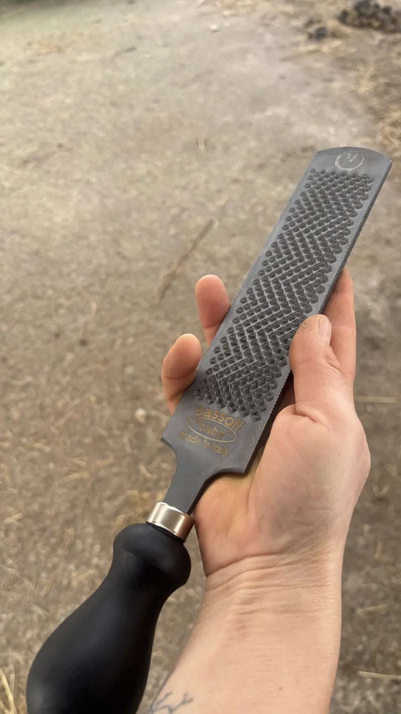 Eine Hand hält die 8 Zoll kleine Mini-Raspel, um die kompakte Größe zu verdeutlichen.