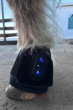 Nahaufnahme einer Rotlicht-Hufglocke am Huf eines Pferdes zur Förderung der Durchblutung am Kronrand.